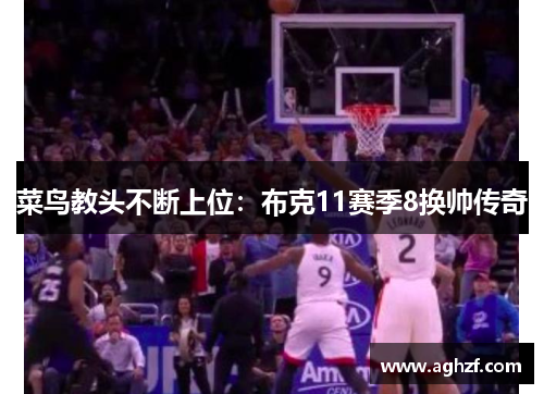 菜鸟教头不断上位：布克11赛季8换帅传奇